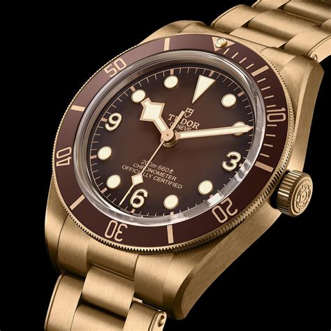 black bay bronze tudor price|black bay 58 bronze review.